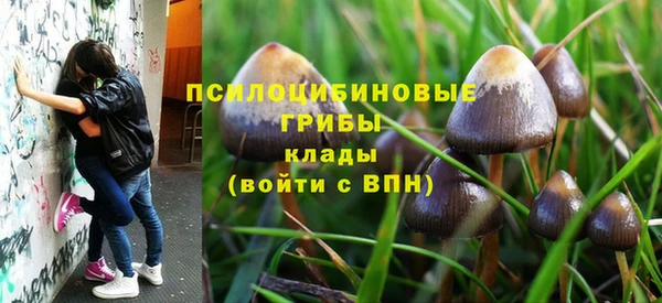 шишки Володарск