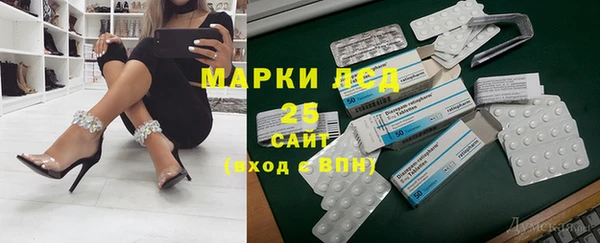 шишки Володарск