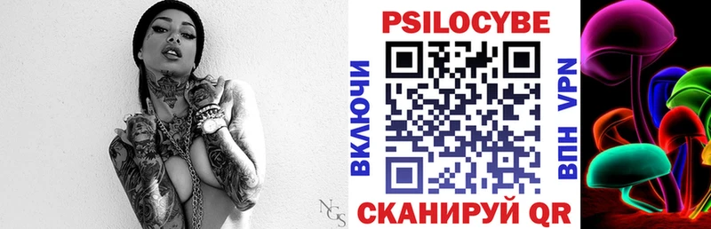 Псилоцибиновые грибы Cubensis  Купить где  Городец 